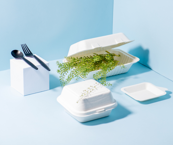 Disposable Food Containers Wellington Takeaway Food Boxes NZ